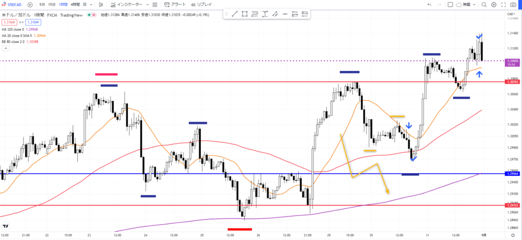 ドルカナダ1時間足の水平線と波形分析チャート